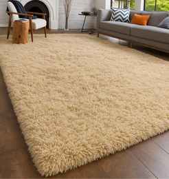 Shaggy Rugs